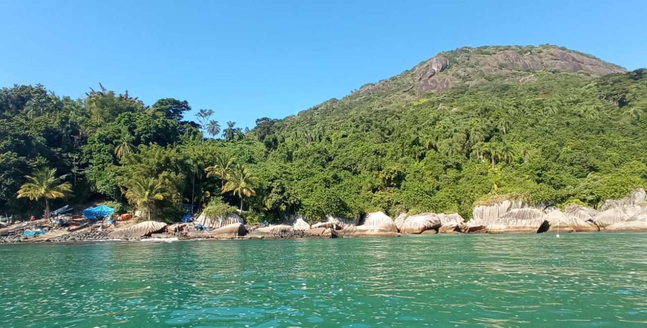 Ilha com mata atlântica preservada e mar verde-esmeralda em passeio de barco em São Sebastião
