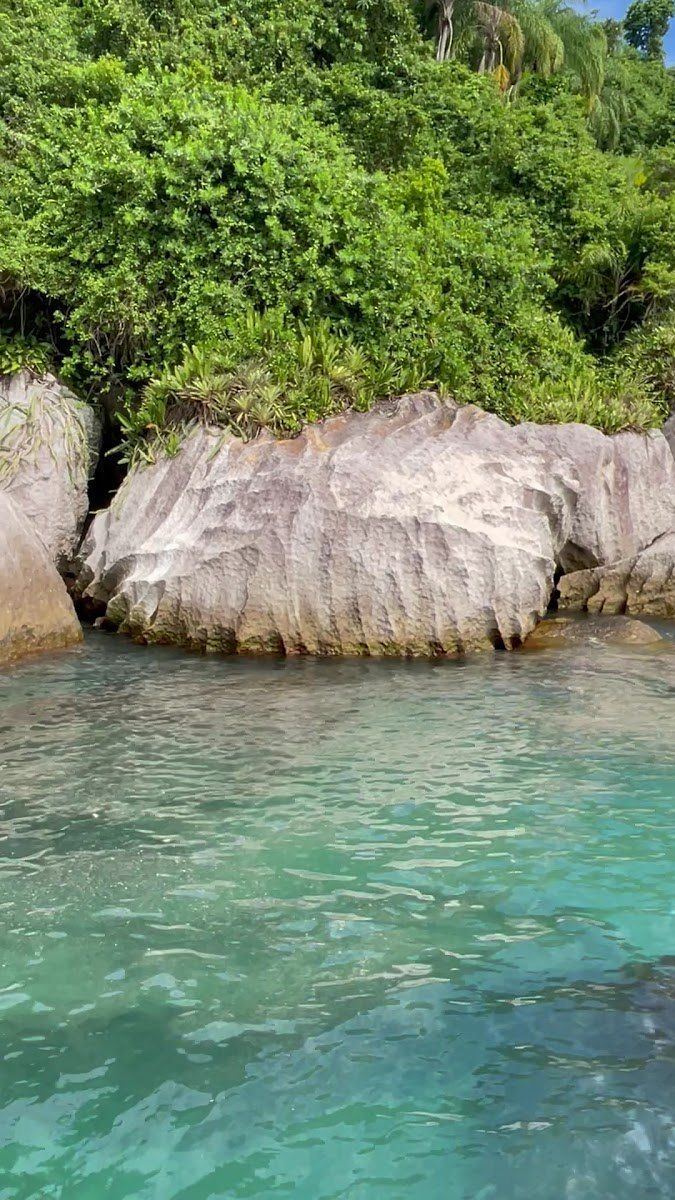 Enseada calma com pedras e mata atlântica em As Ilhas de São Sebastião